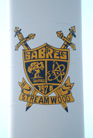 Sabres